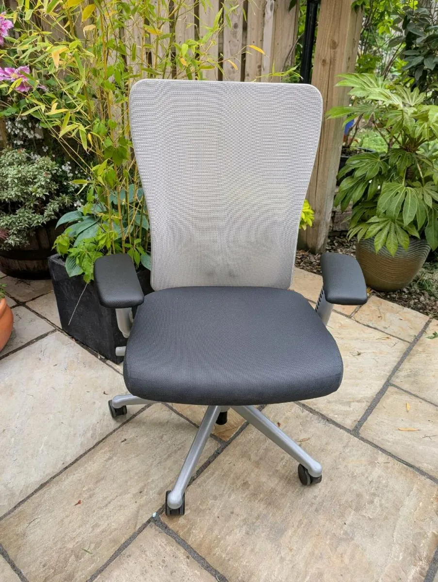 Ergonomic office chair - Image 1