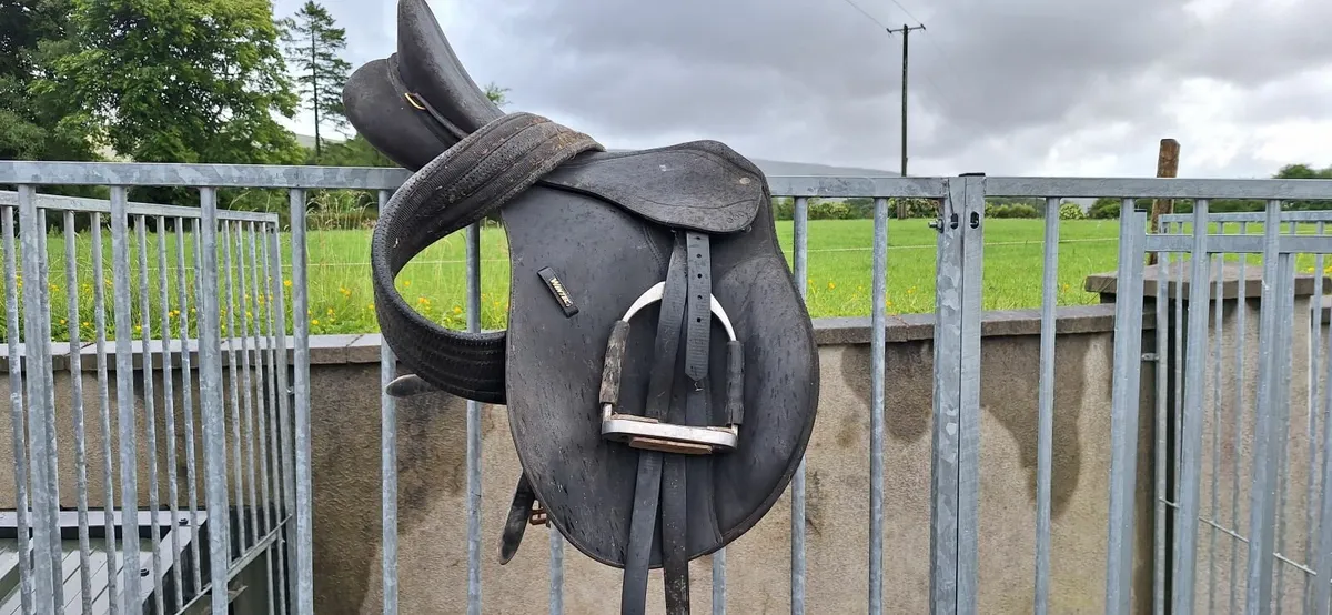 Wintec Saddle
