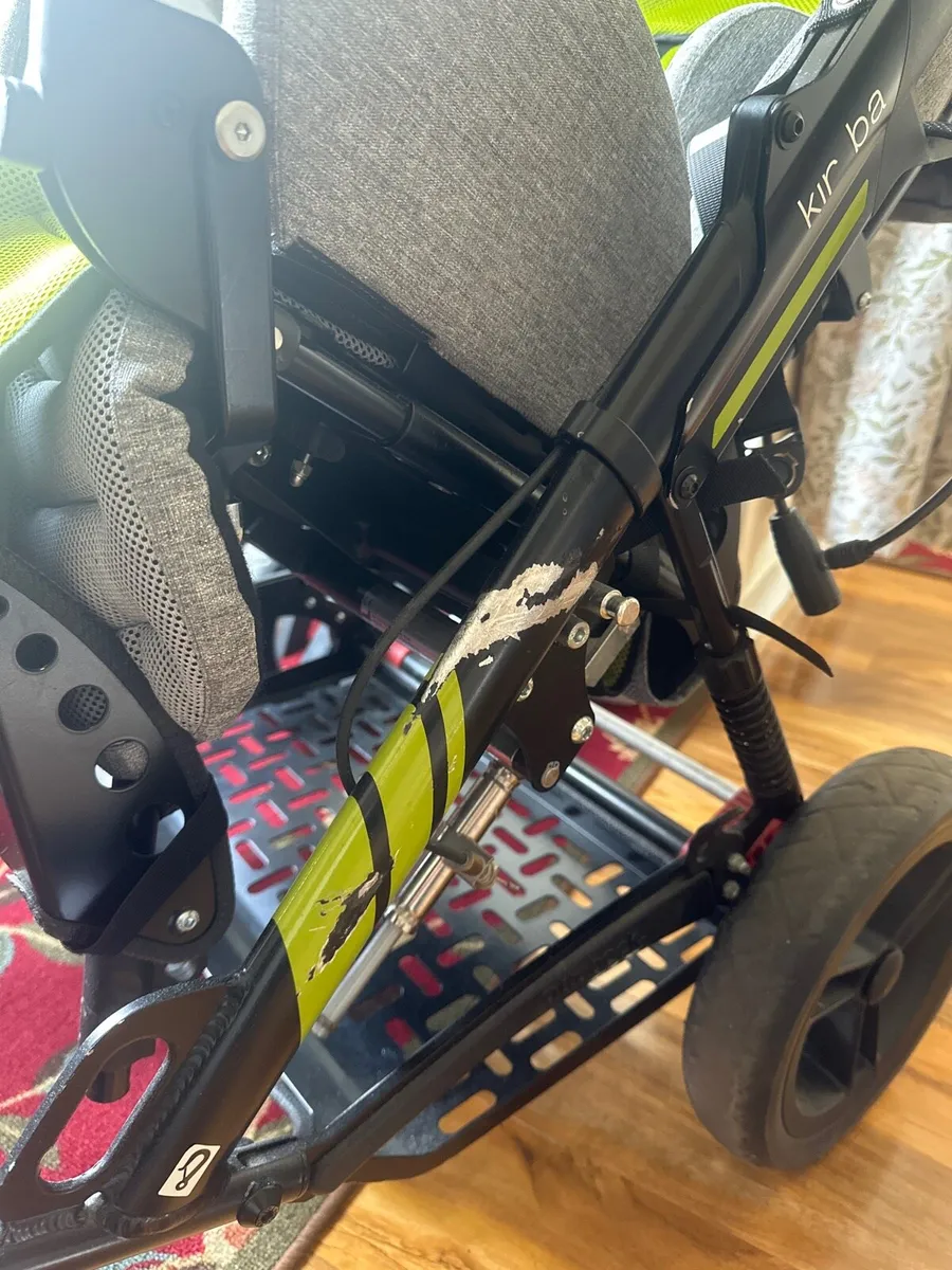 Special need Buggy - Image 4