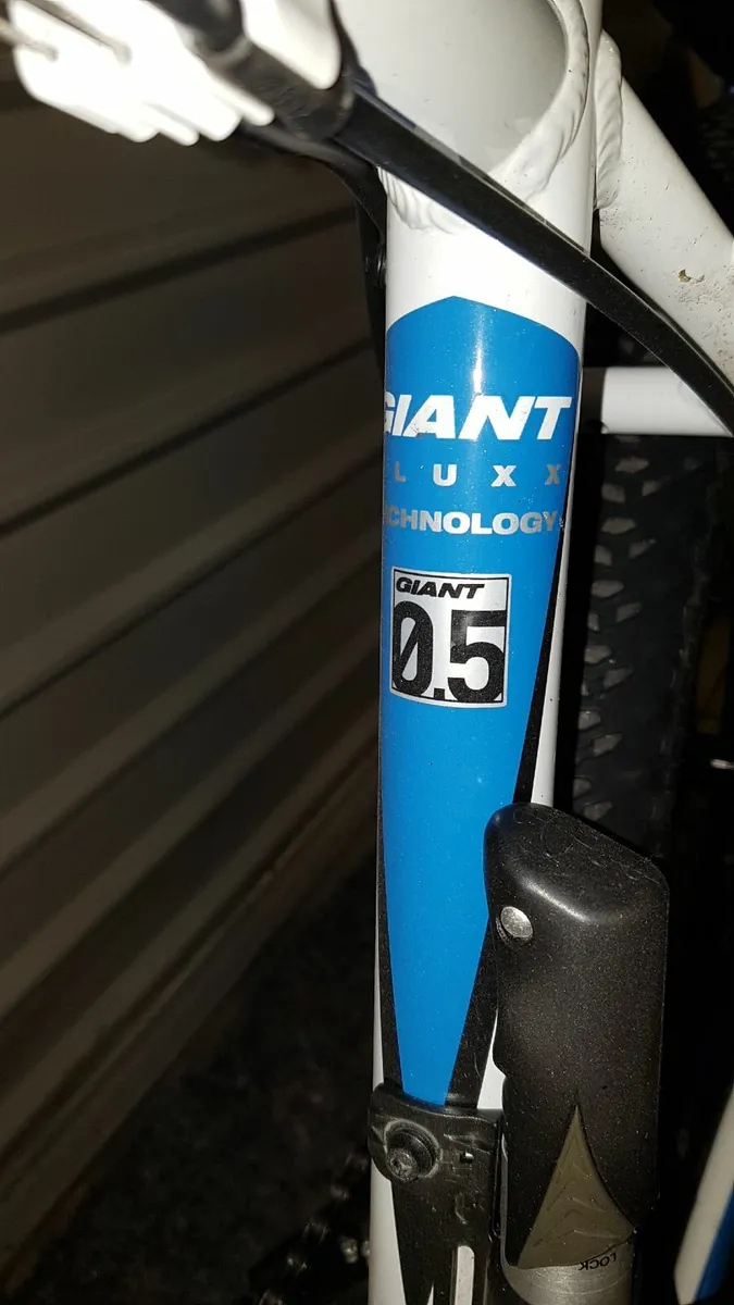 Giant Revel Mountan Bike - Image 3
