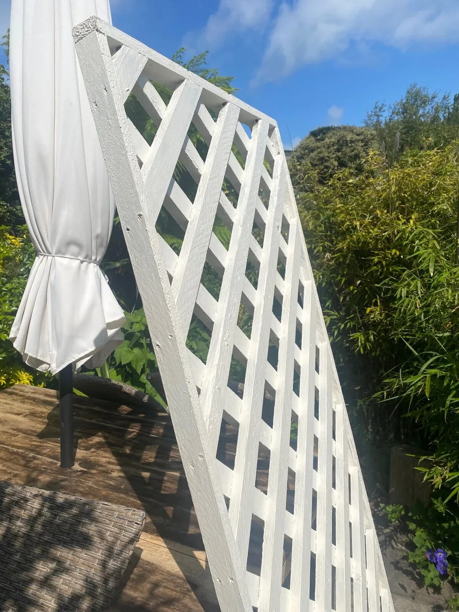 Garden trellis - Image 1