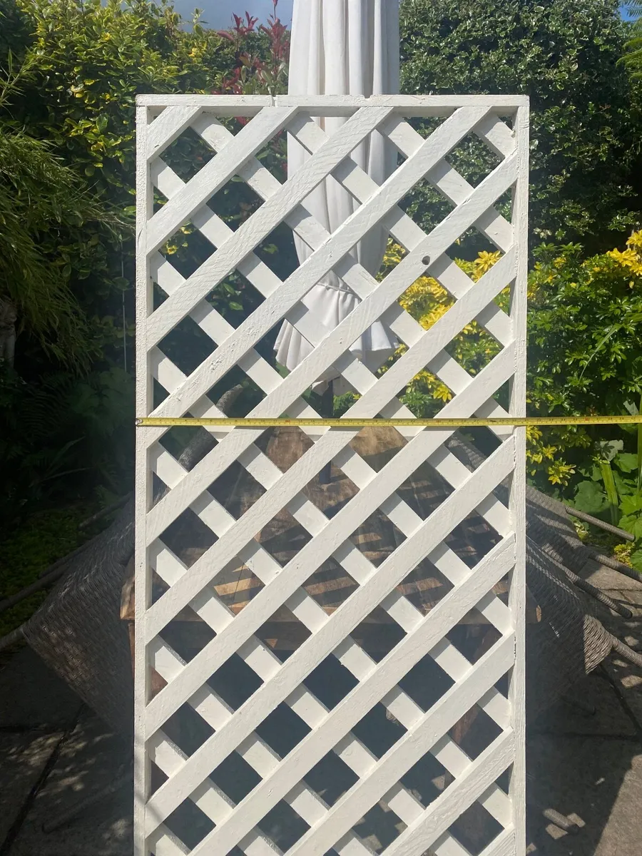 Garden trellis - Image 2