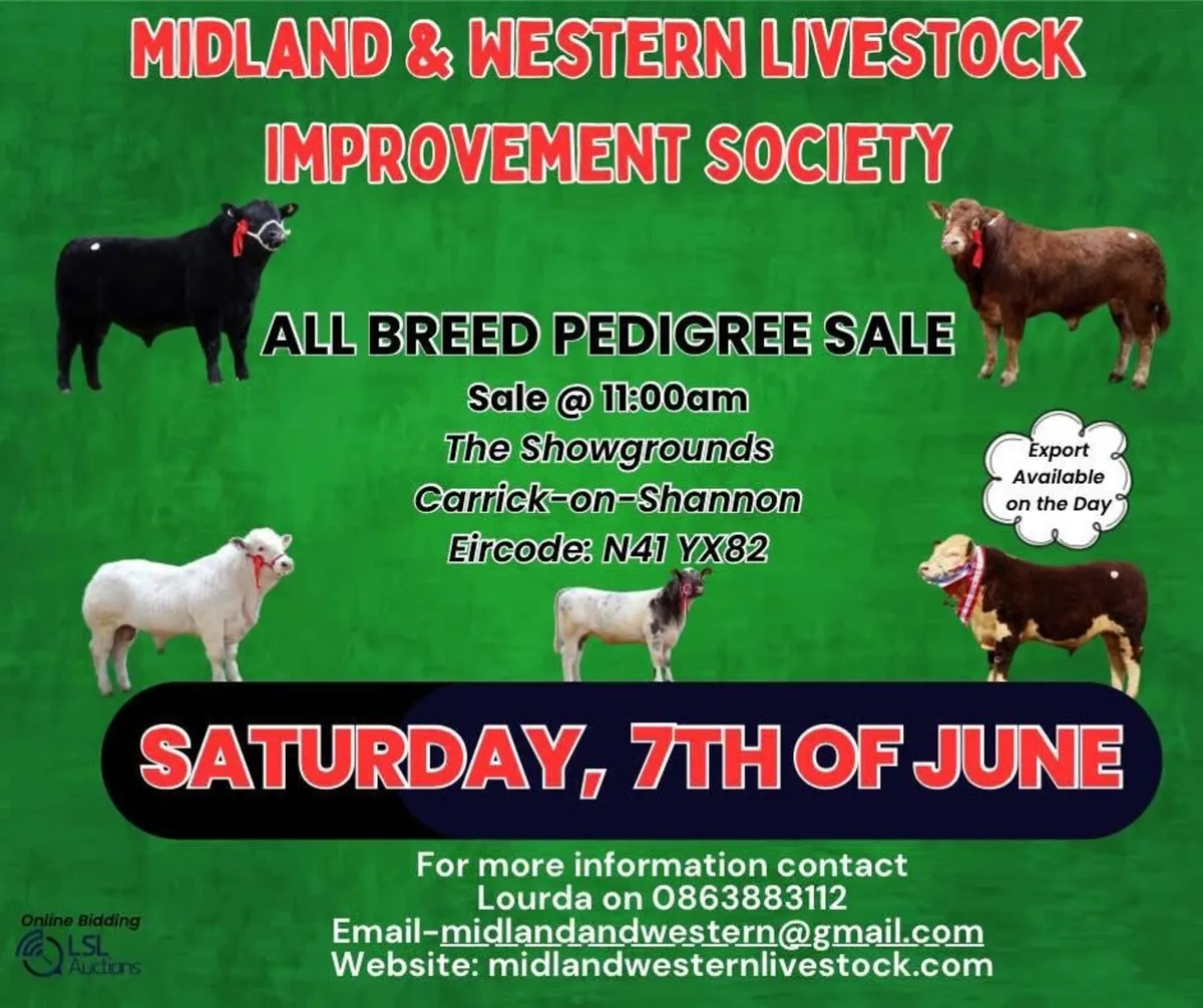 All Breed Pedigree Sale 7th of June