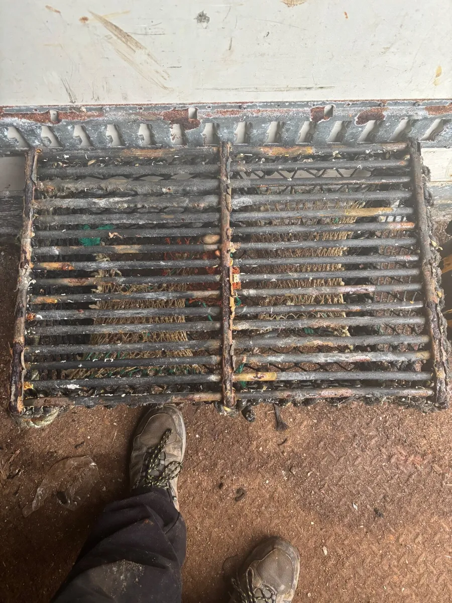 Lobster Pots - Image 1