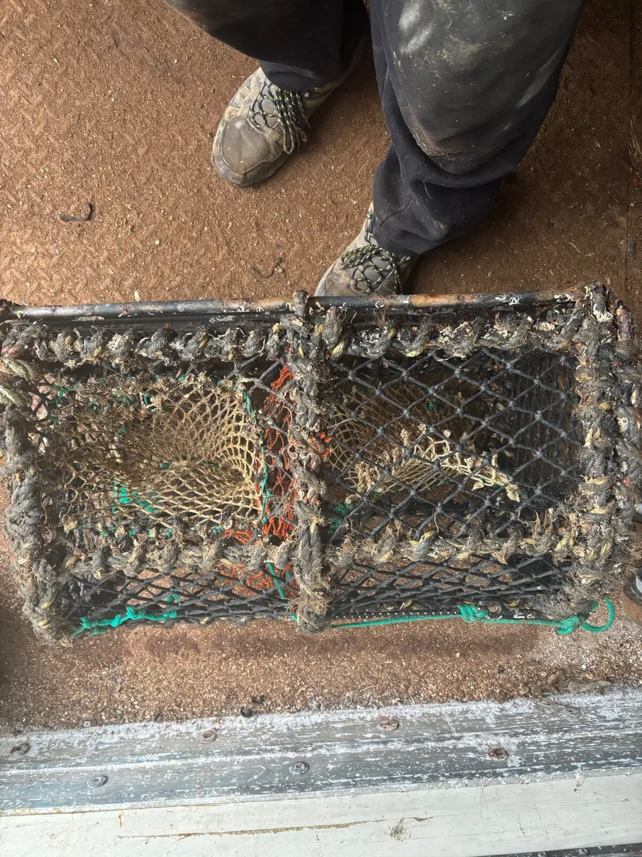 Lobster Pots - Image 2