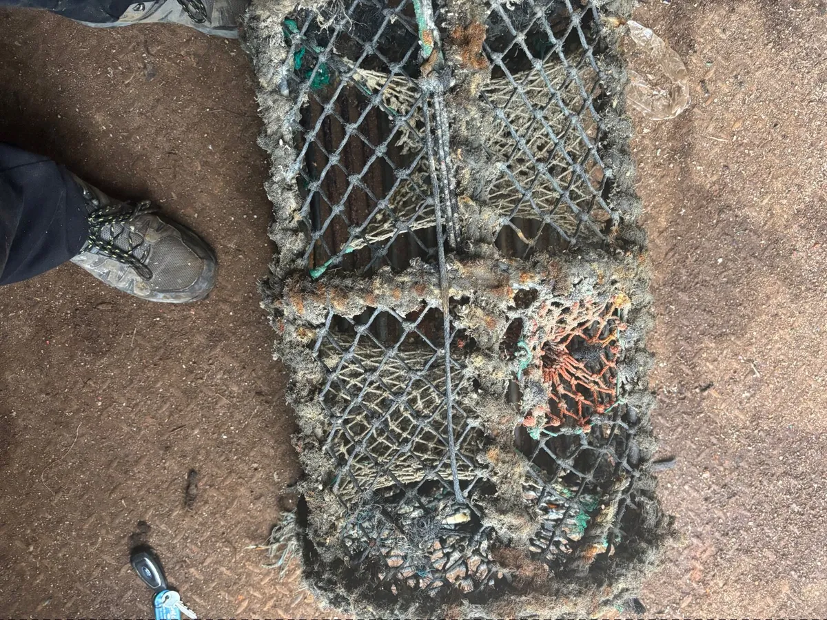 Lobster Pots - Image 3