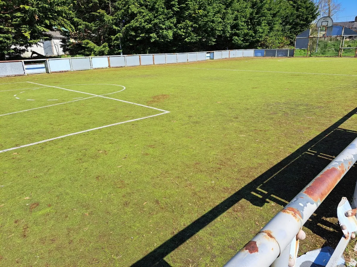 Artificial Grass / Astro Turf - Image 1