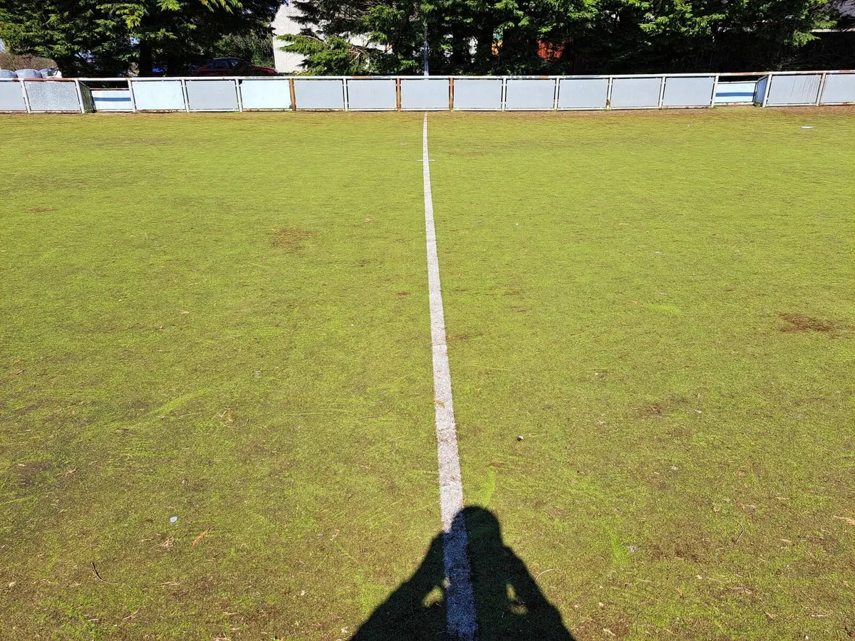 Artificial Grass / Astro Turf - Image 2