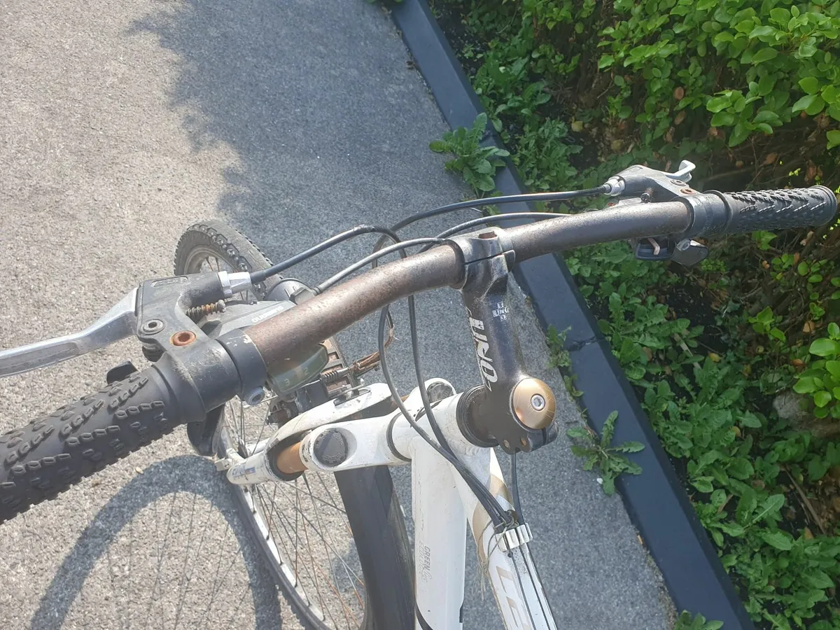 Adult bike - Image 1