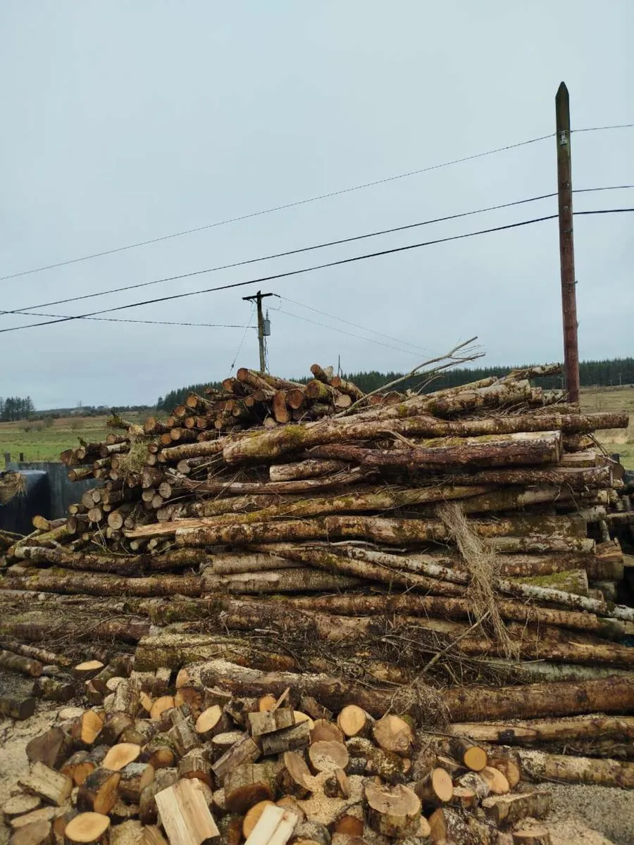 Firewood for sale - Image 3