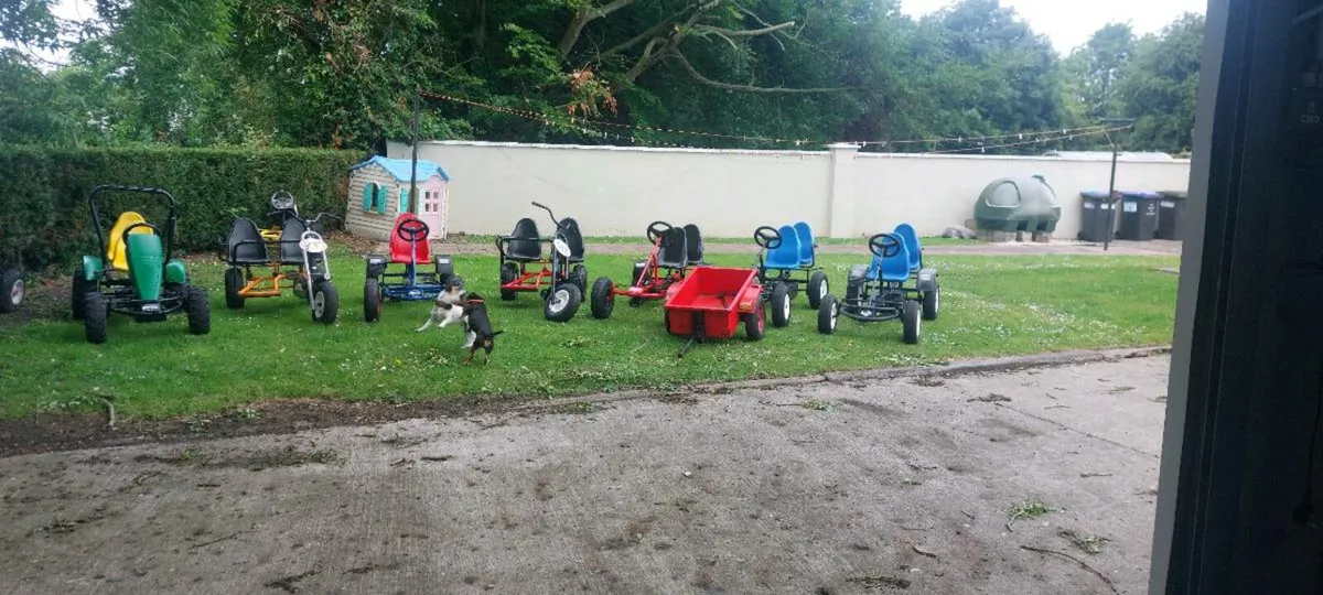 Berg karts - Image 2