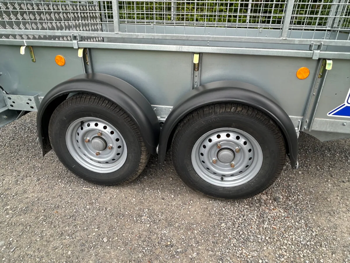 New Ifor Williams 8x5 GD85 with Mesh and Ramp - Image 4