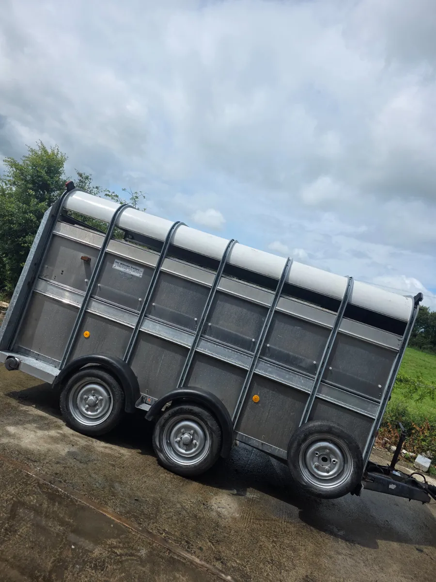 12ft ifor Williams livestock trailer with decks - Image 1