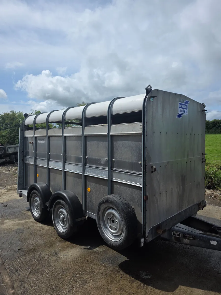 12ft ifor Williams livestock trailer with decks - Image 2