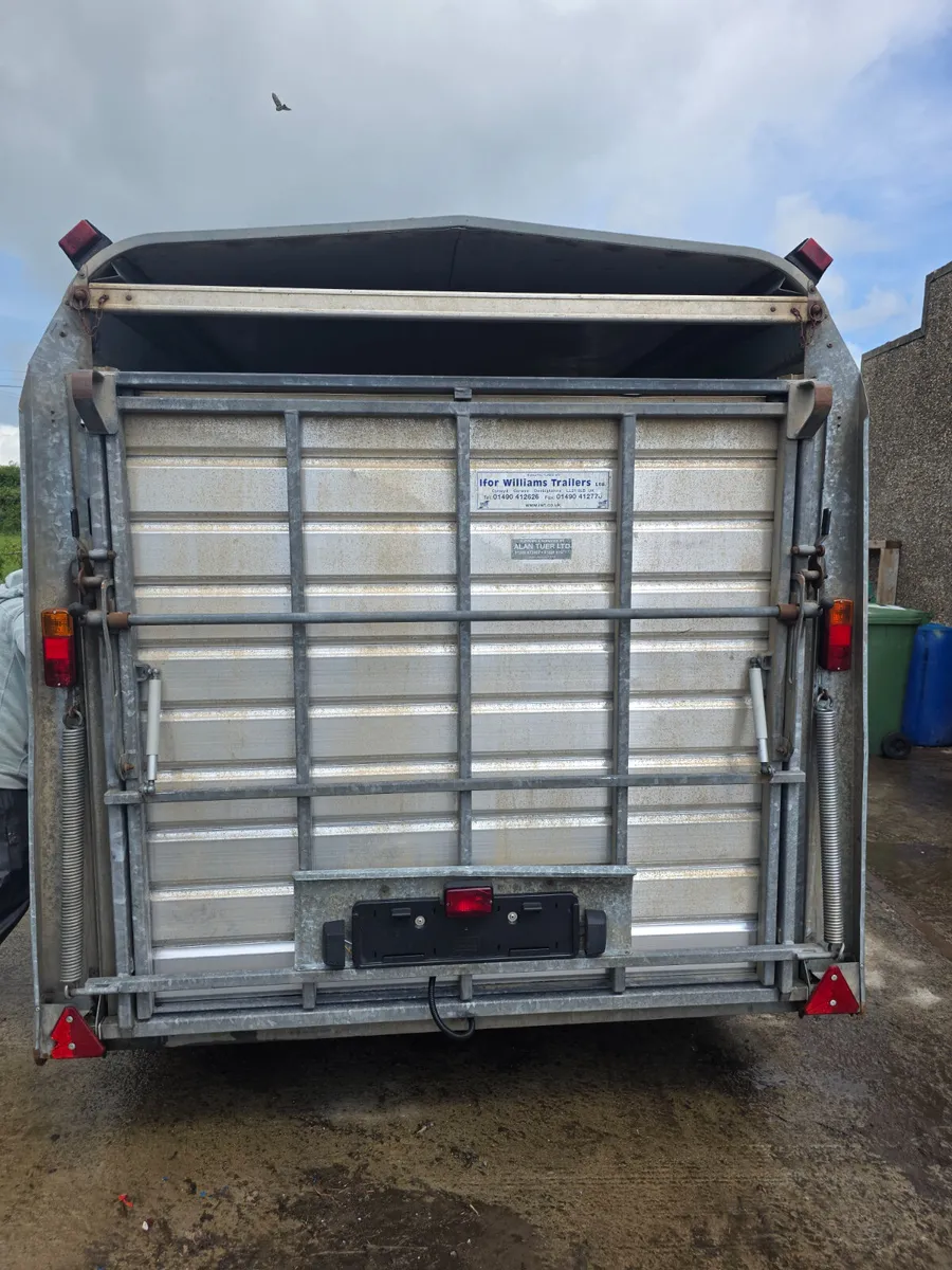 12ft ifor Williams livestock trailer with decks - Image 3