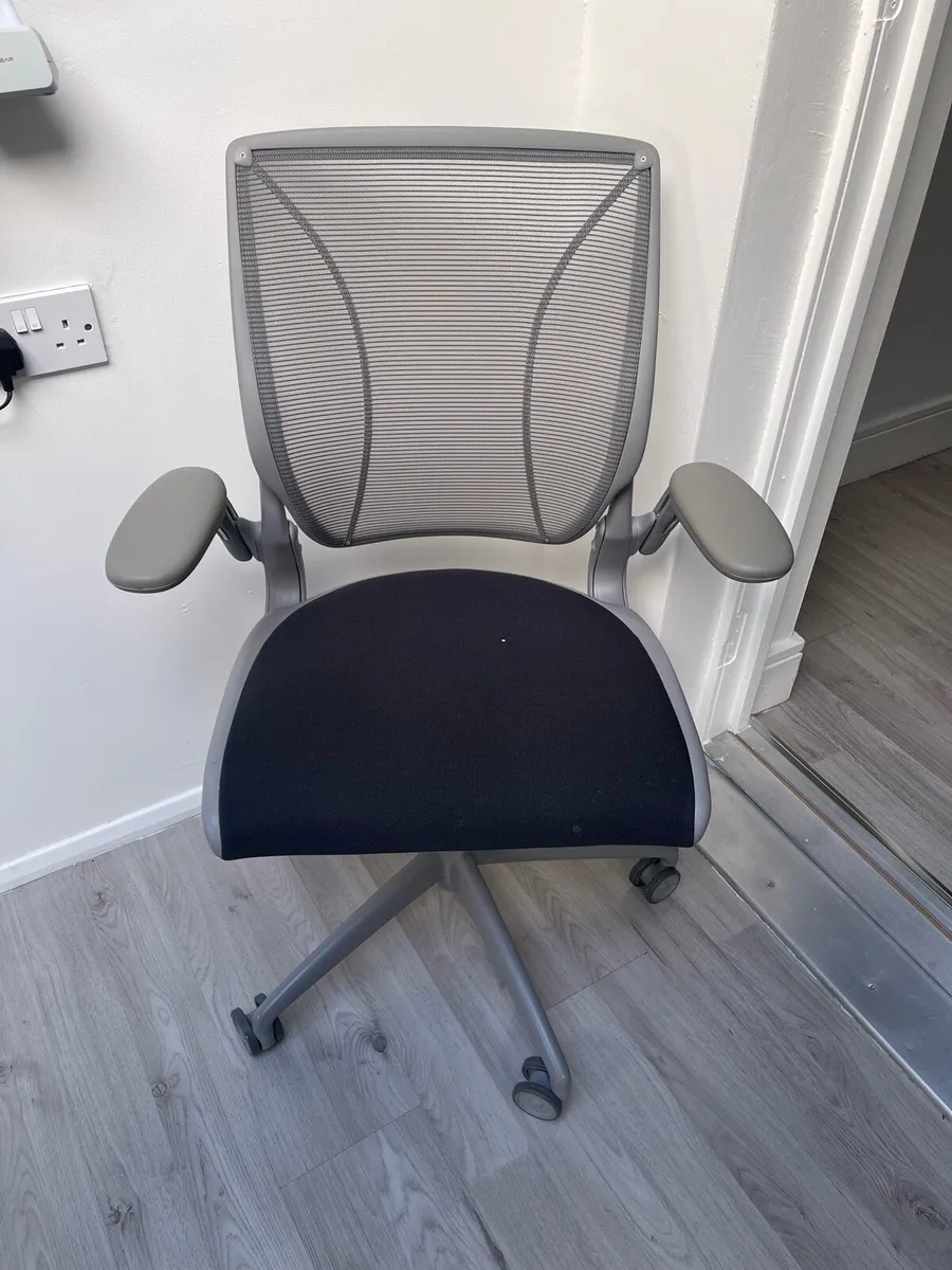 Humanscale Worldwide Office Chair - Image 1