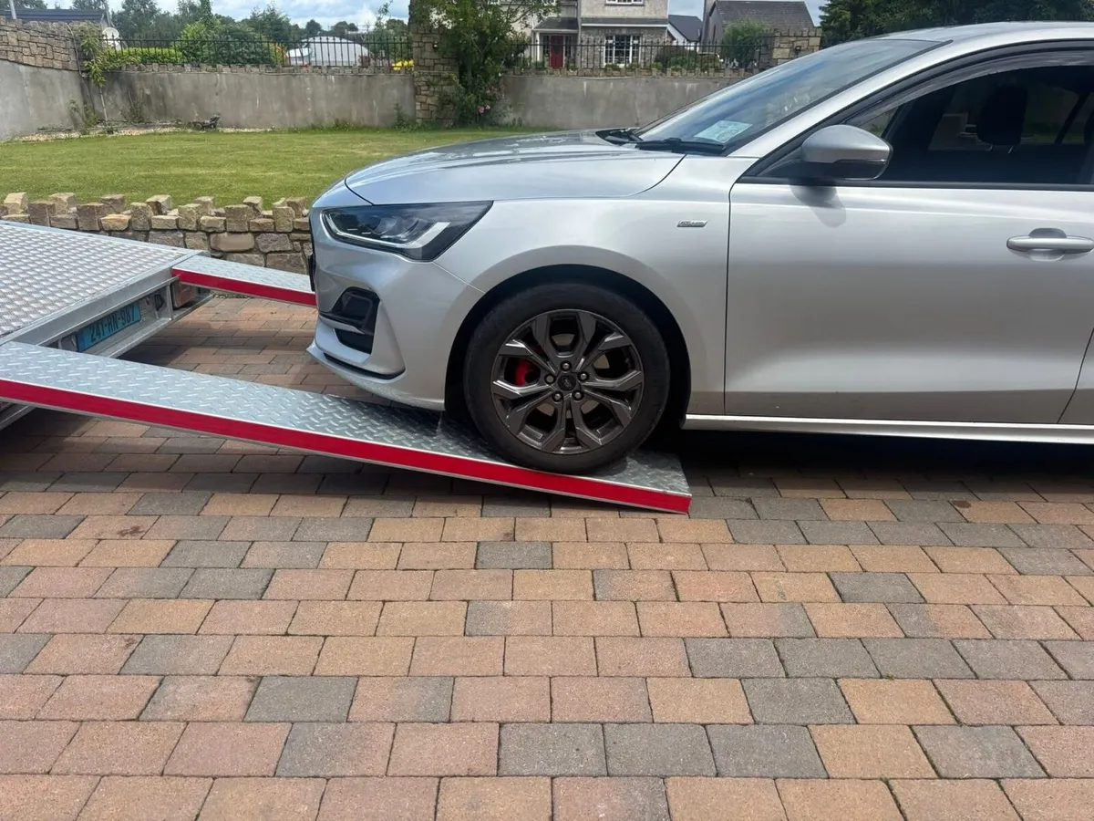 Trailer ramps - Image 1