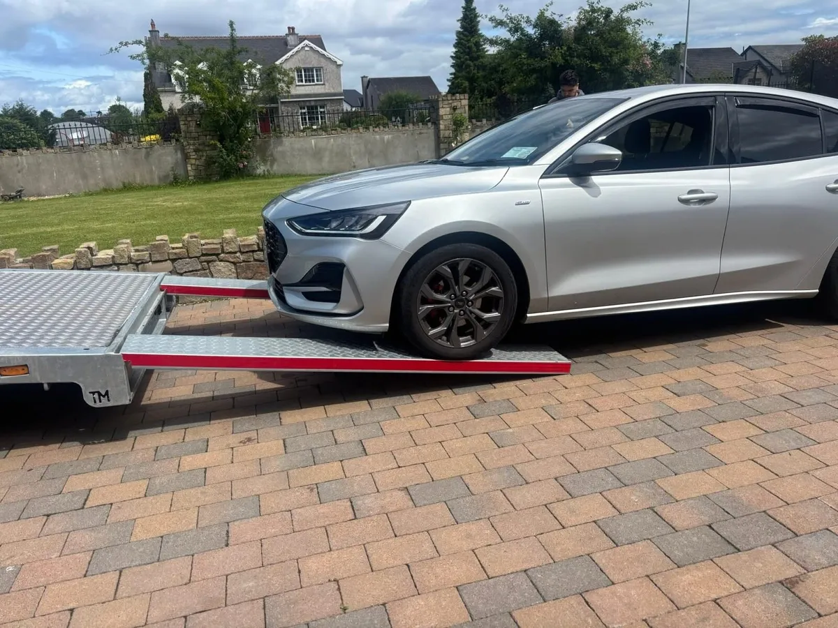 Trailer ramps - Image 2