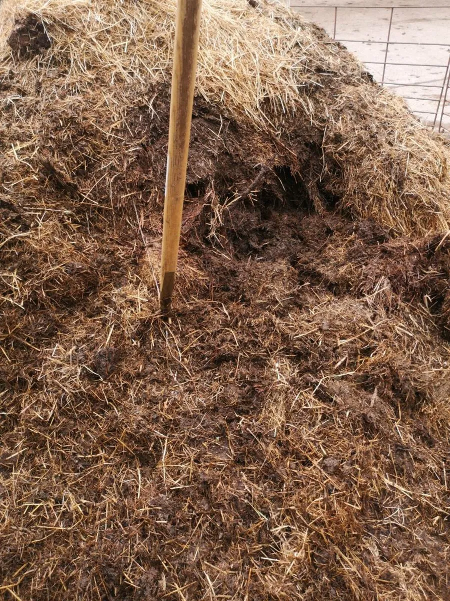 Organic Dung/Manure - Image 1