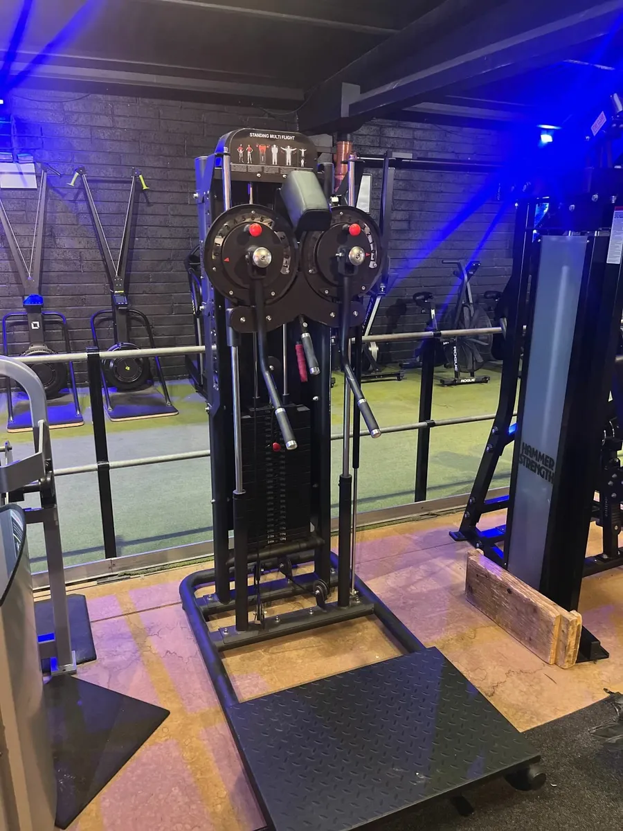 Standing Multi Fly - Image 2