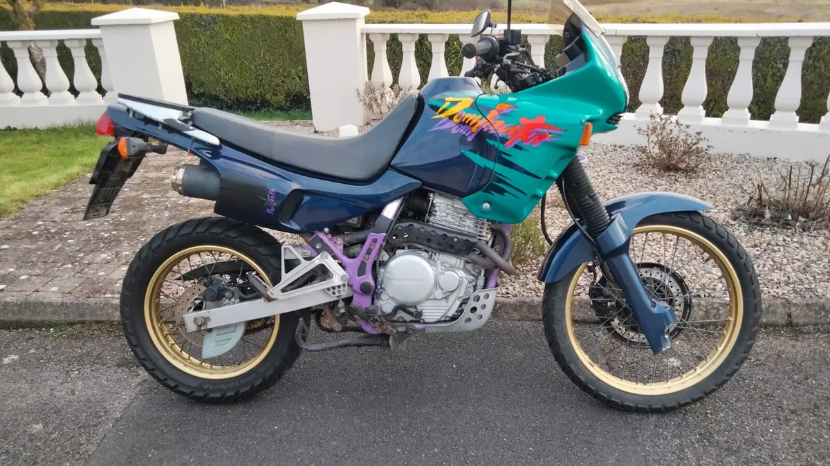 Honda Dominator 650 - Image 1