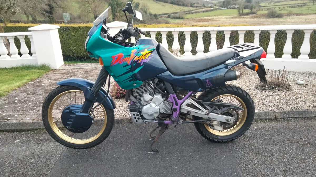 Honda Dominator 650 - Image 2