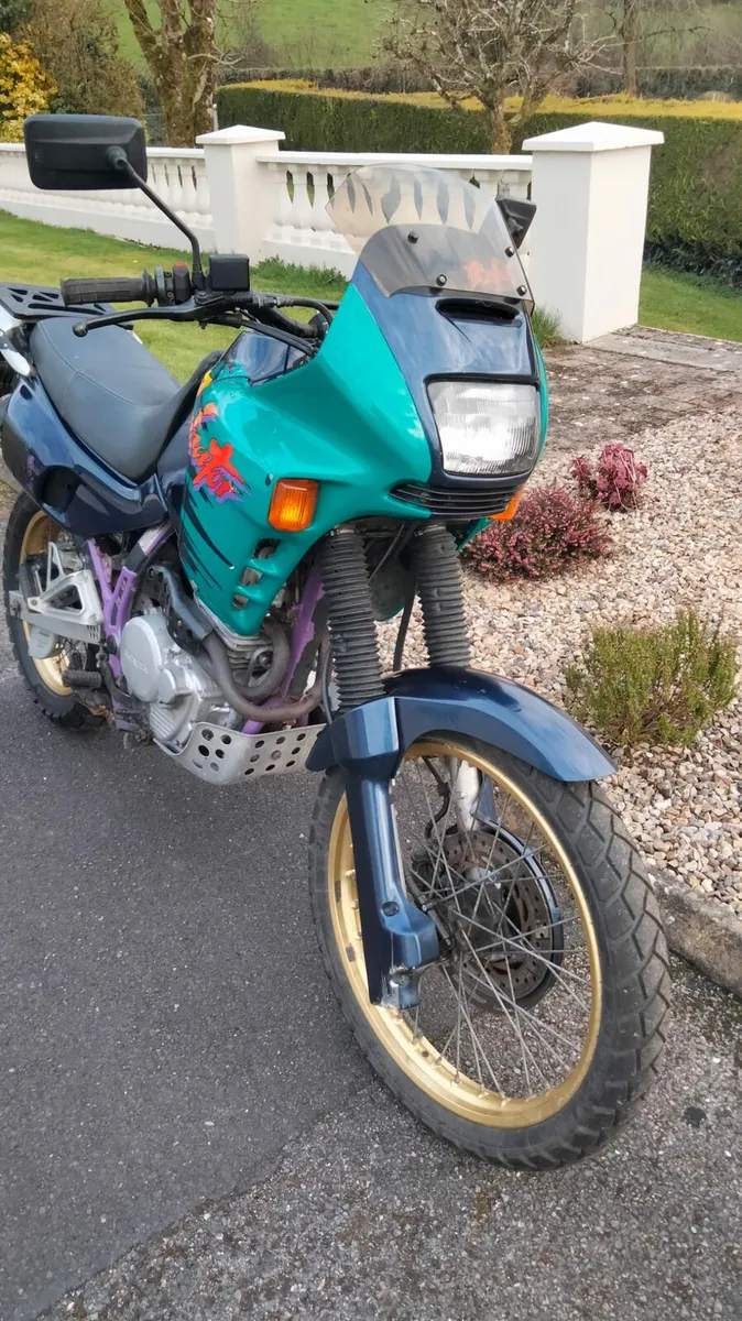 Honda Dominator 650 - Image 3