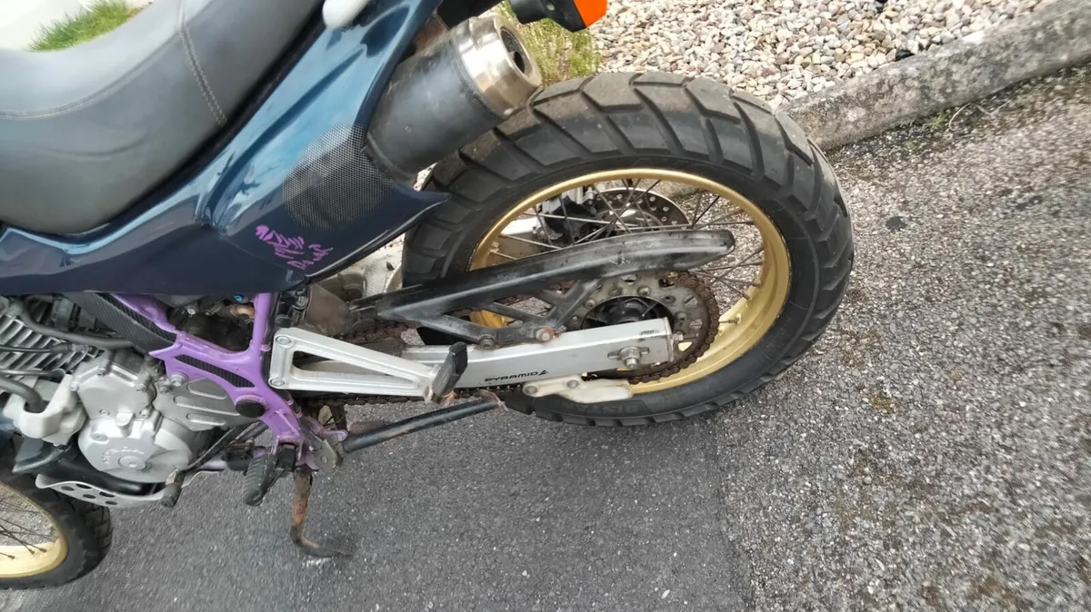 Honda Dominator 650 - Image 4