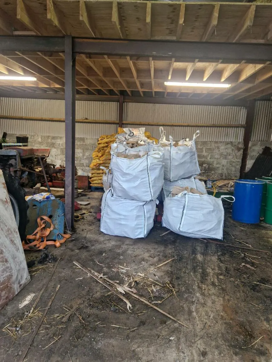 Ash timber - Image 1
