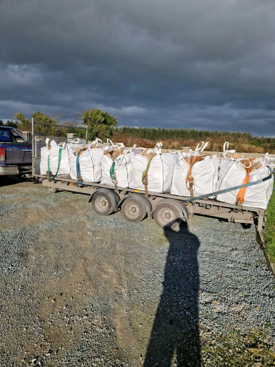 Ash timber - Image 3
