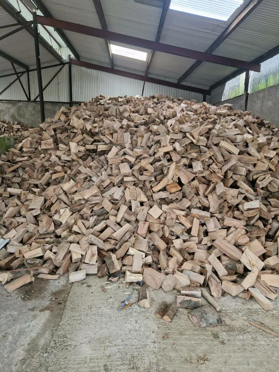 Ash timber - Image 4