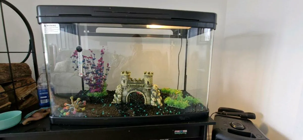 Tropical fish tank - Image 1