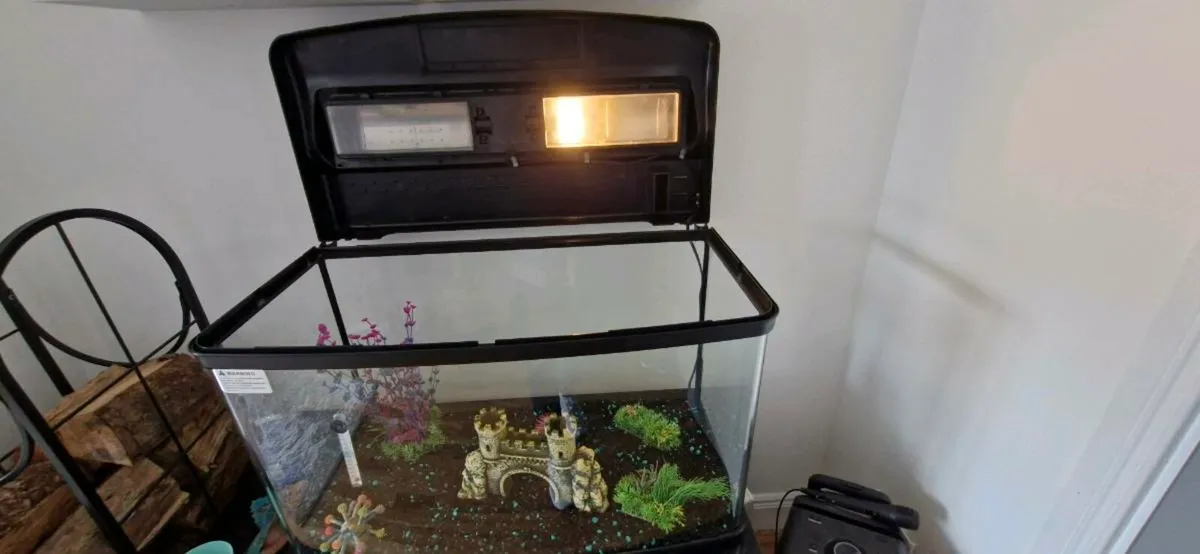 Tropical fish tank - Image 3