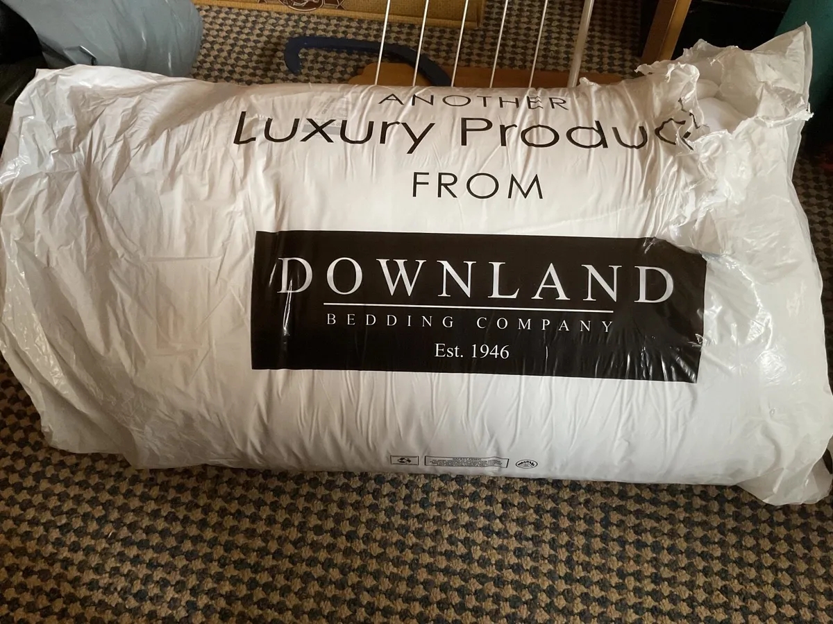 Duvet - Image 2
