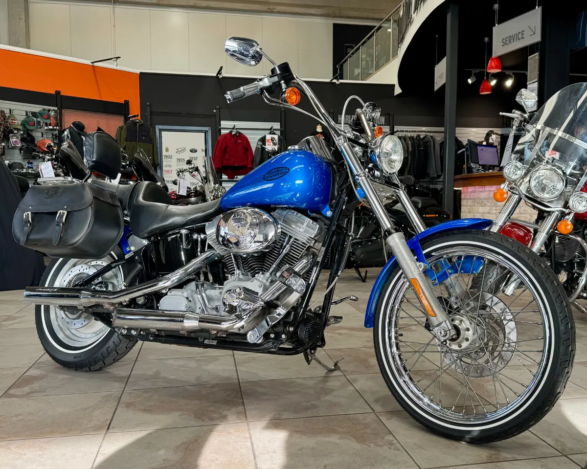 HARLEY-DAVIDSON SOFTAIL STANDARD + EXTRAS - Image 2