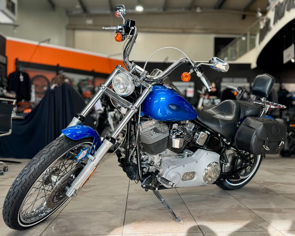 HARLEY-DAVIDSON SOFTAIL STANDARD + EXTRAS - Image 3