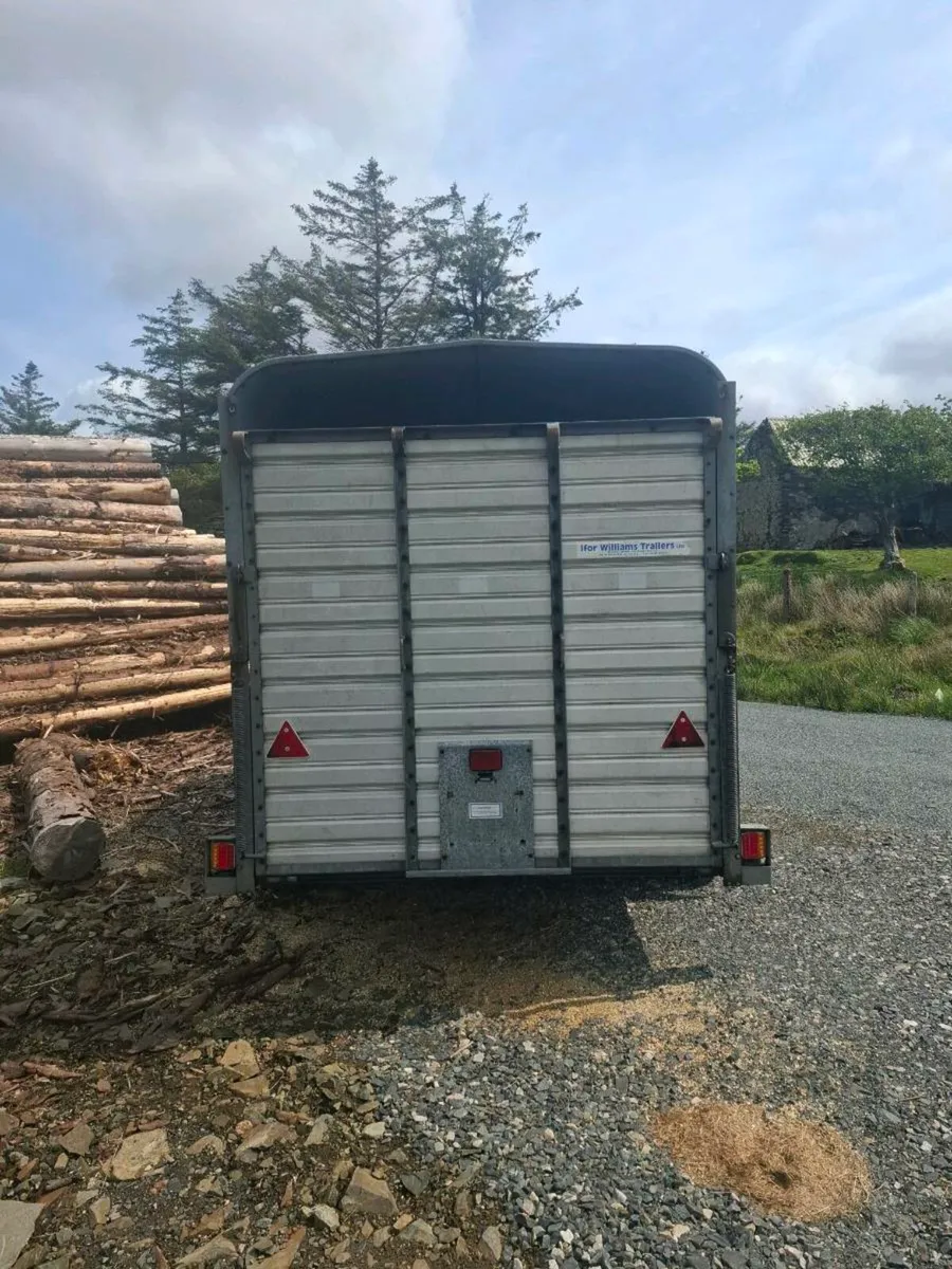 Cattle trailer - Image 3