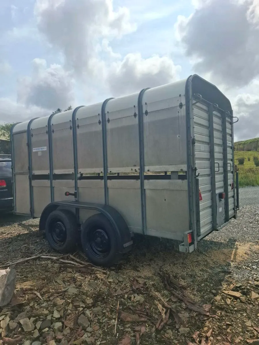 Cattle trailer - Image 4