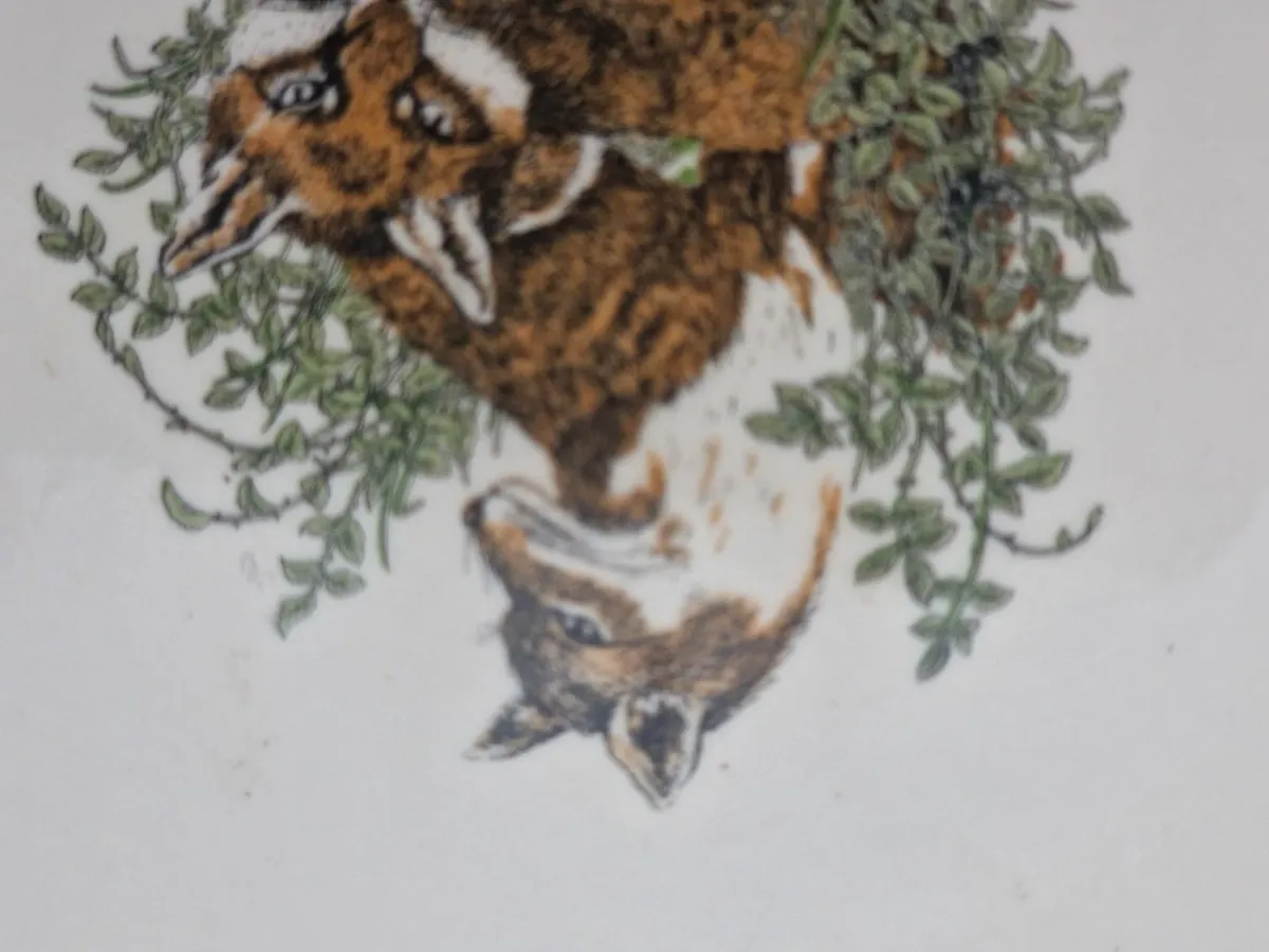 Carrigline pottery. - Image 3