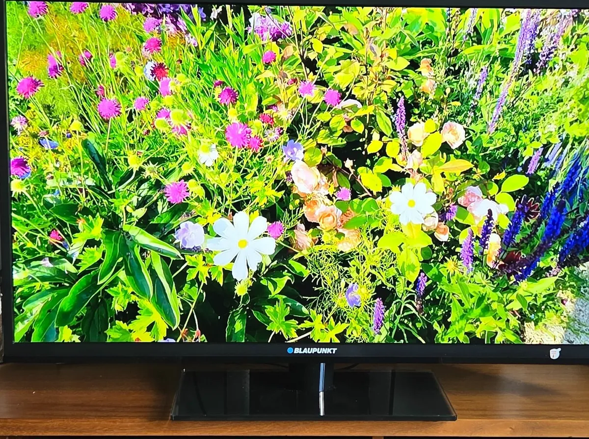 TV - Image 3