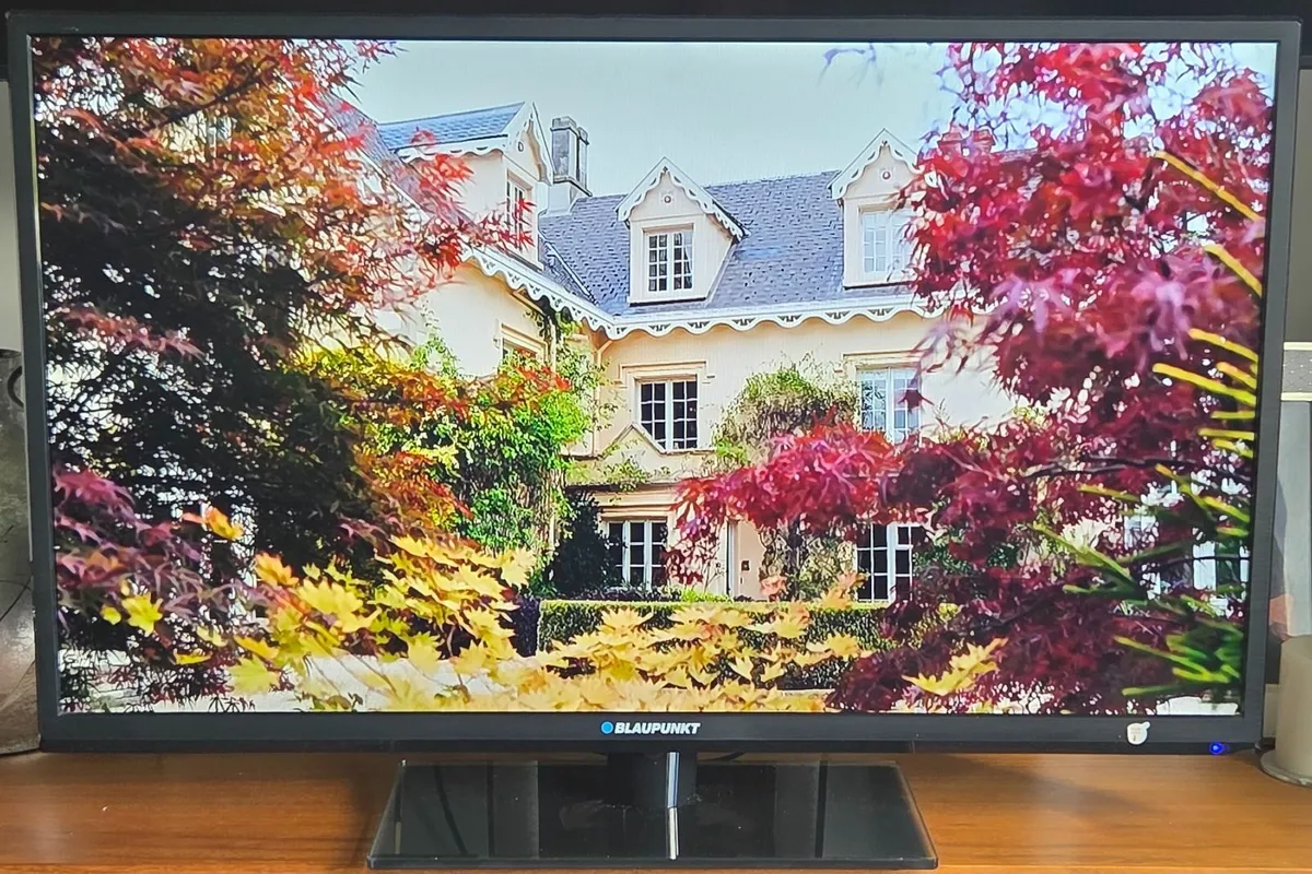 TV - Image 4