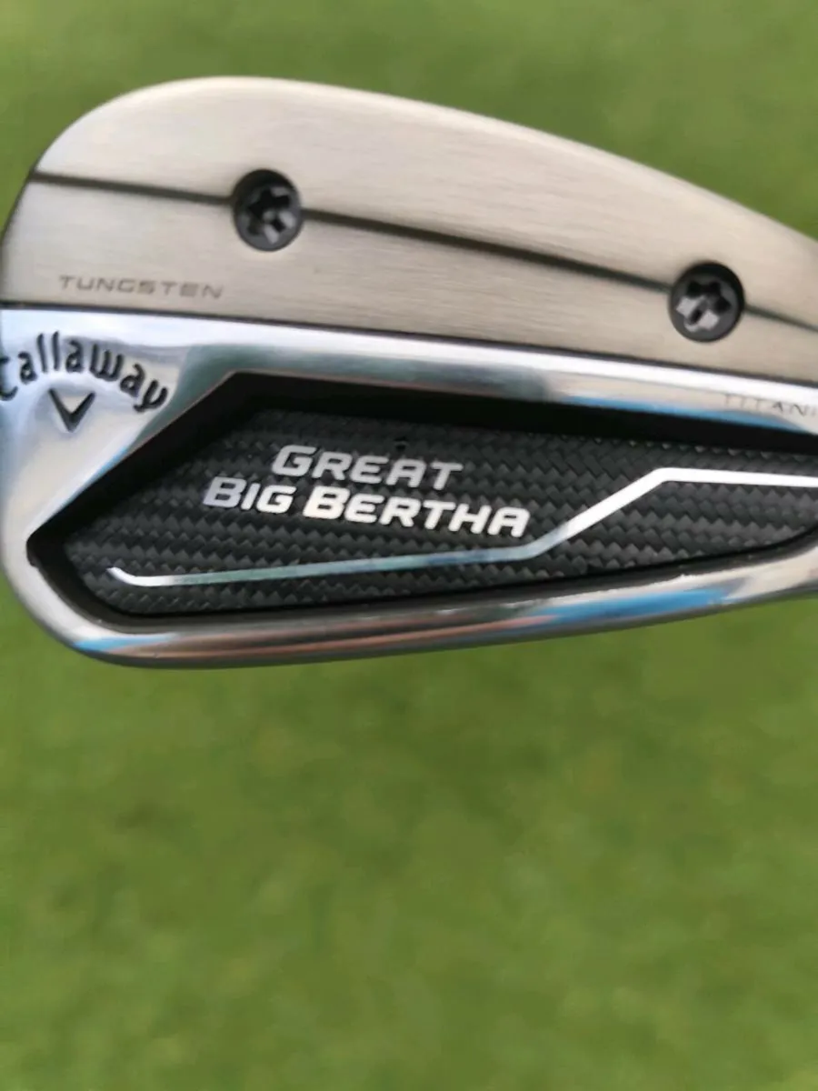 Great Big Bertha 5 iron (Premium) - Image 1