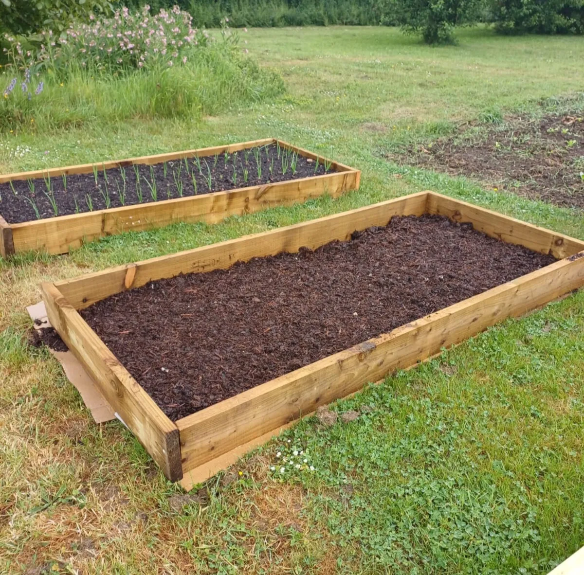 Raised Beds for Flower/ Gardening - Image 1