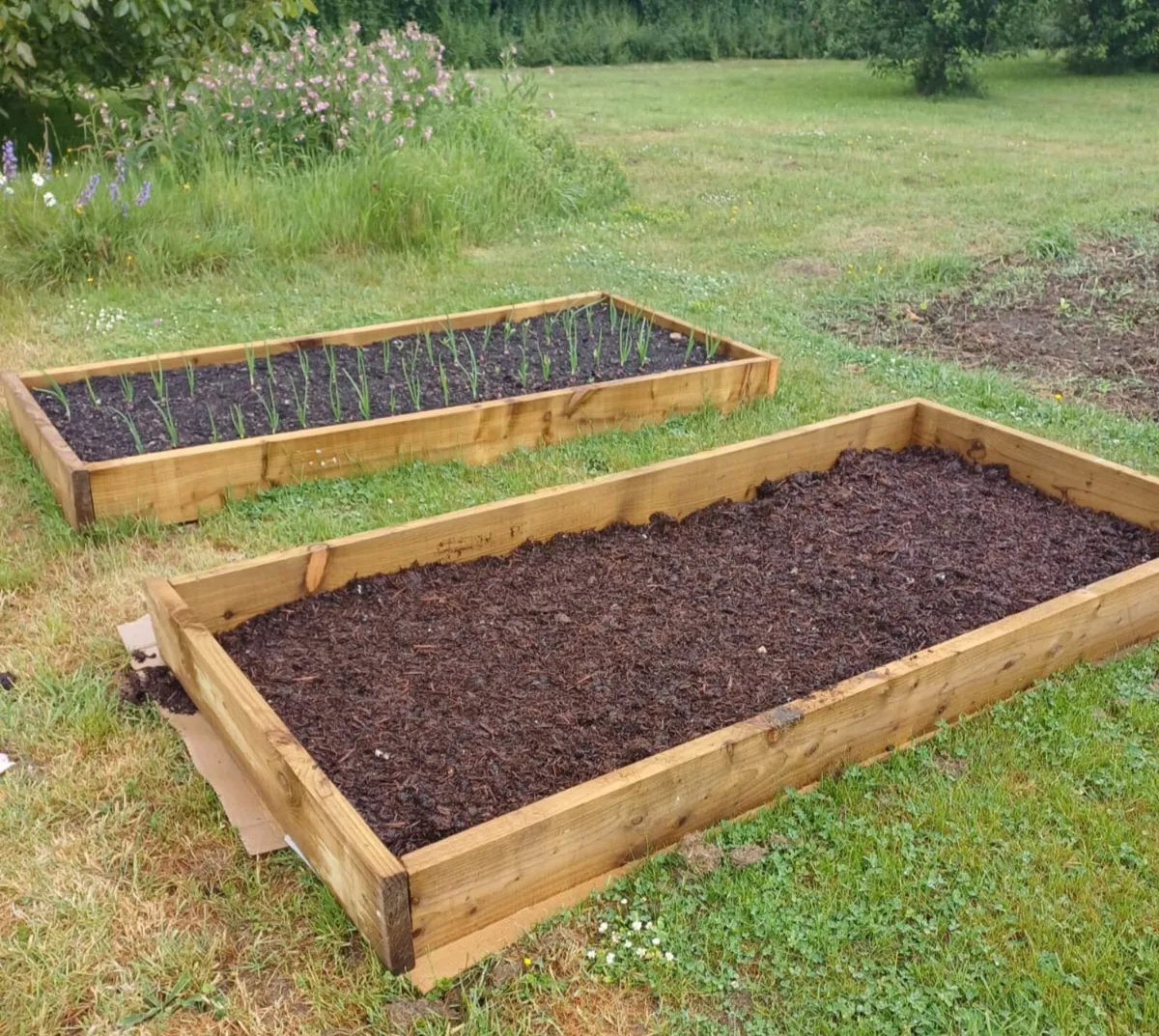Raised Beds for Flower/ Gardening - Image 2