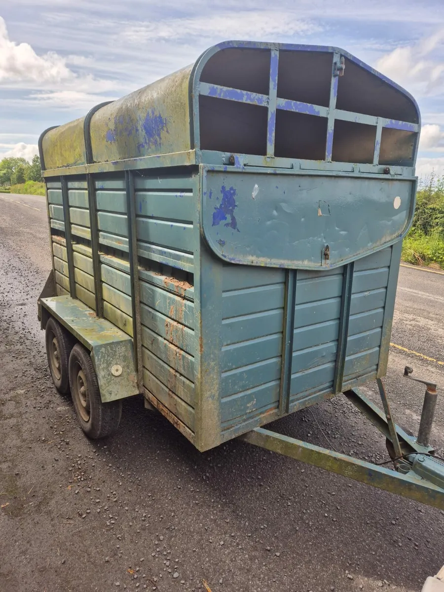 8 x 4 cattle trailer - Image 1