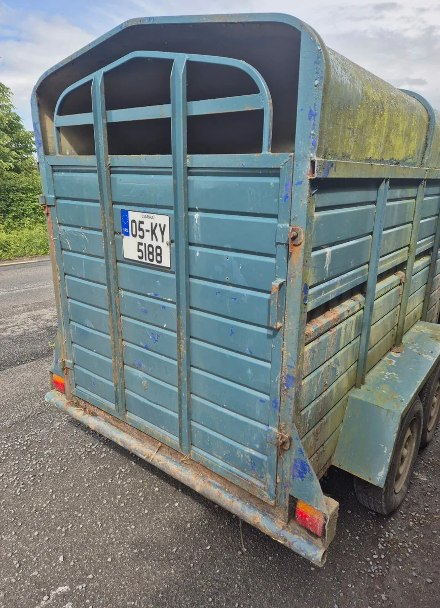 8 x 4 cattle trailer - Image 2