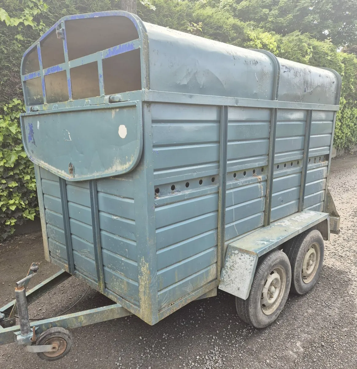 8 x 4 cattle trailer - Image 3