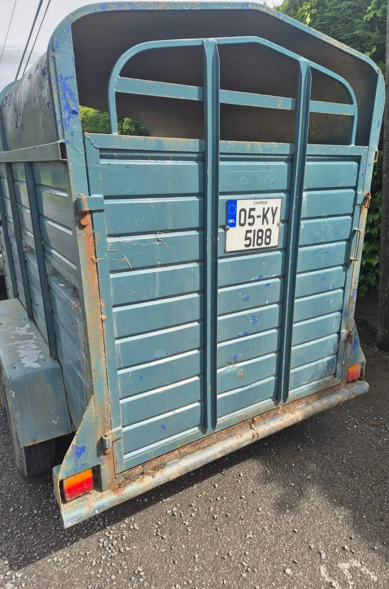 8 x 4 cattle trailer - Image 4