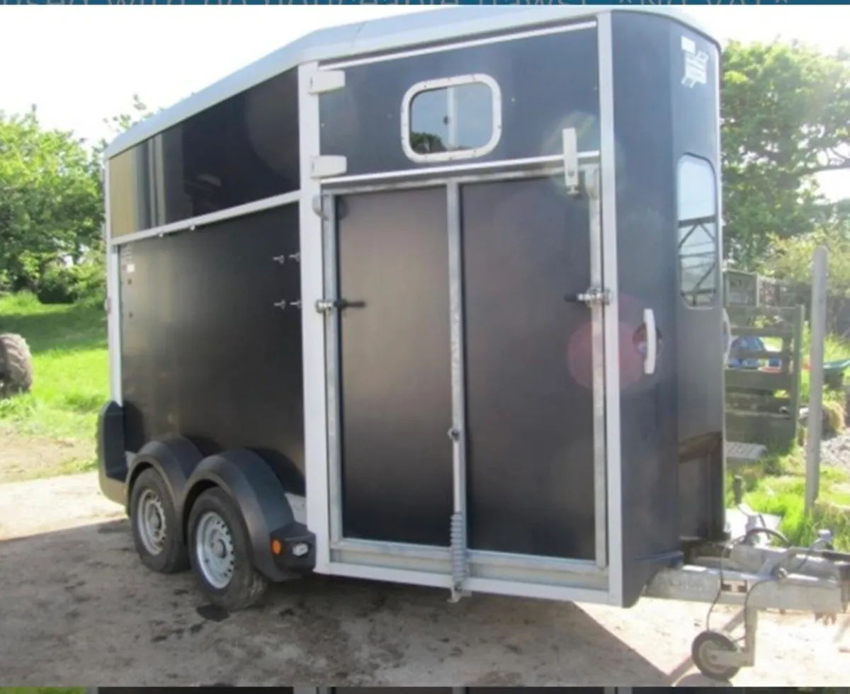 Ifor willams HB 511 Horsebox - Image 3