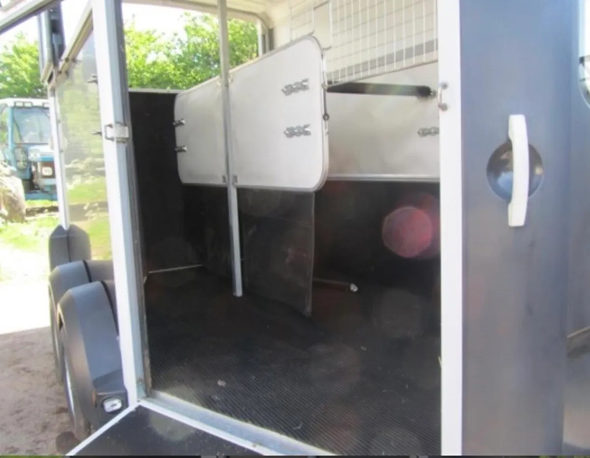 Ifor willams HB 511 Horsebox - Image 4